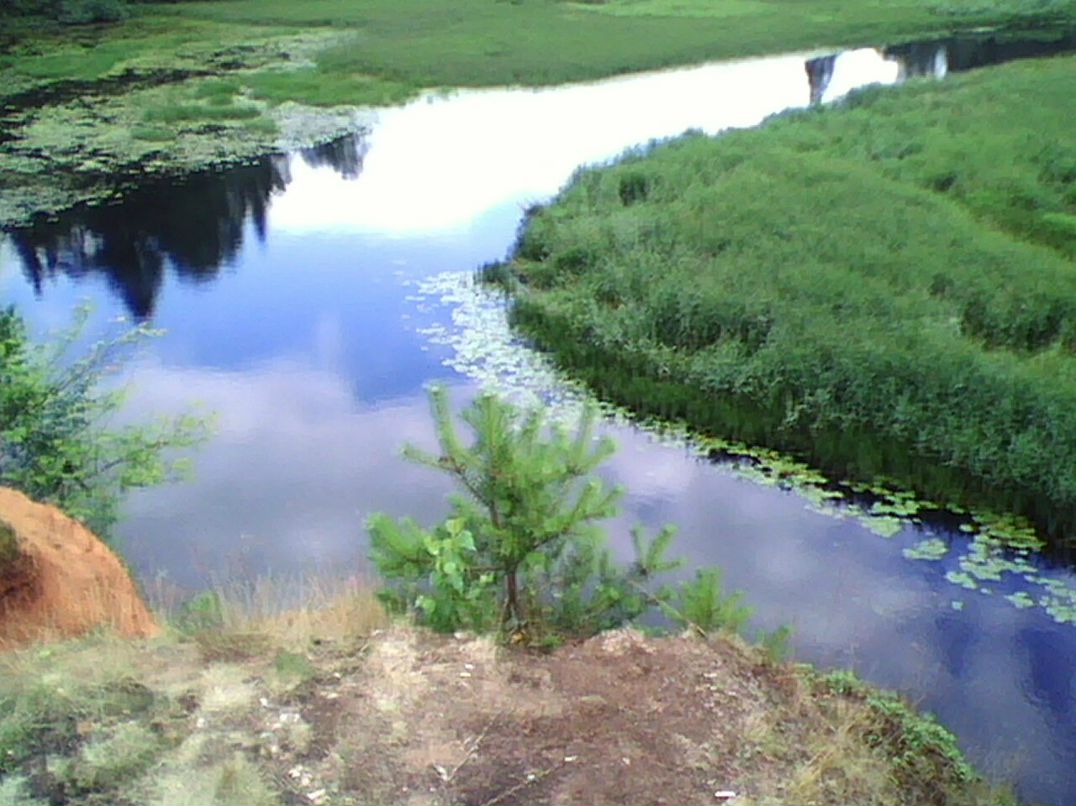 Дмитрий Кириллов Дмитриевич | Санкт-Петербург