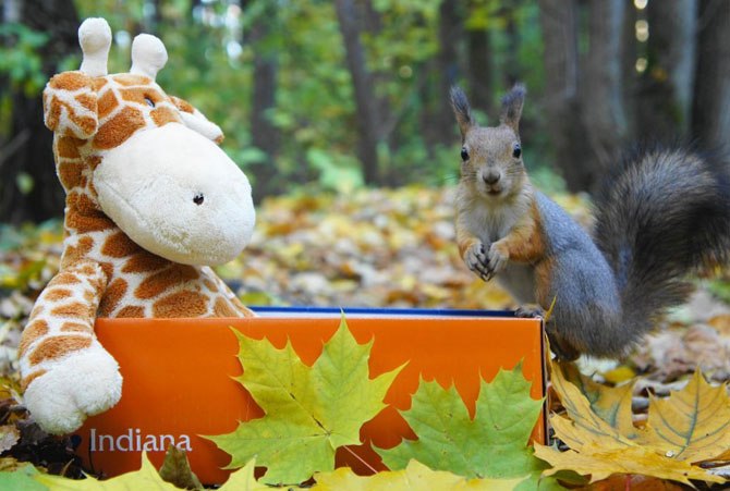 Наташа Васильева | Красноярск