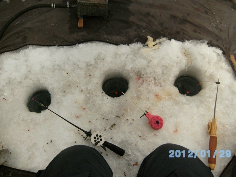 Алексей Гудин | Курган