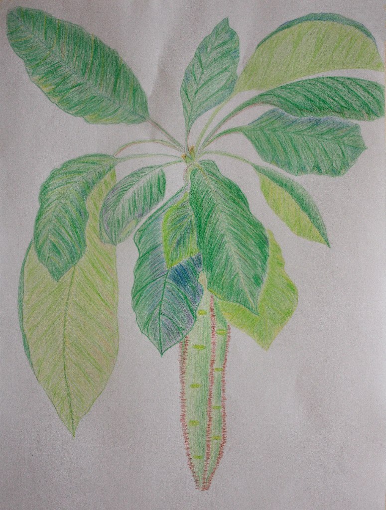 Марина Валетова | Великий Новгород