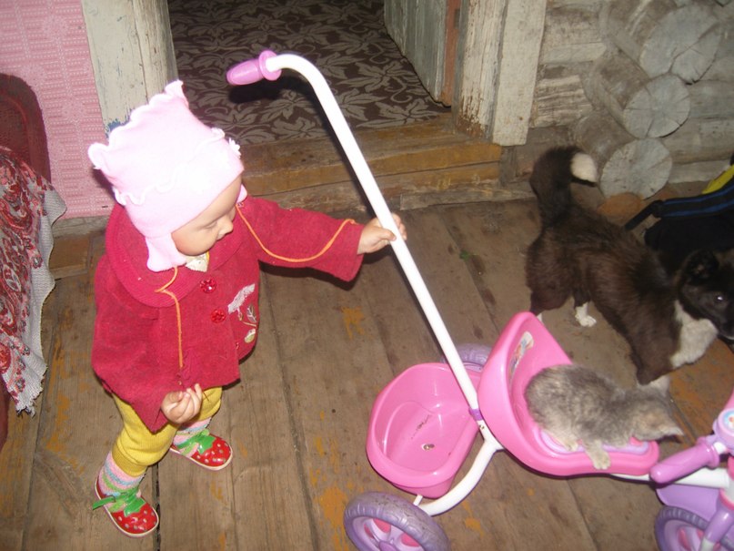 Алексей Дмитриев | Уфа