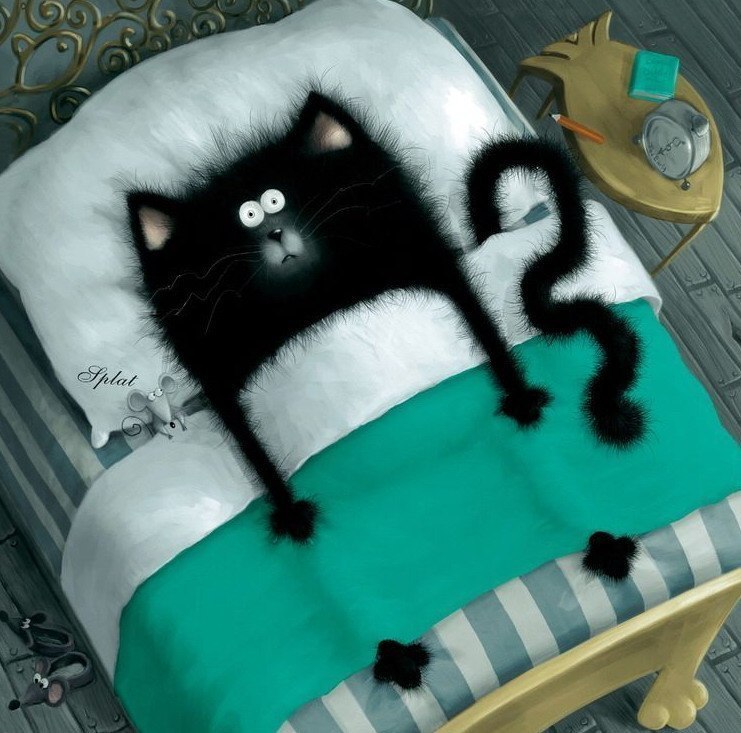 Сергей Найденко Енот | Лиски