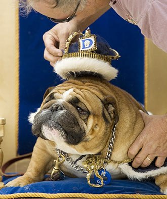 Андрей Тимошек | 