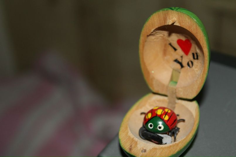 Алия Черепанова | Сургут