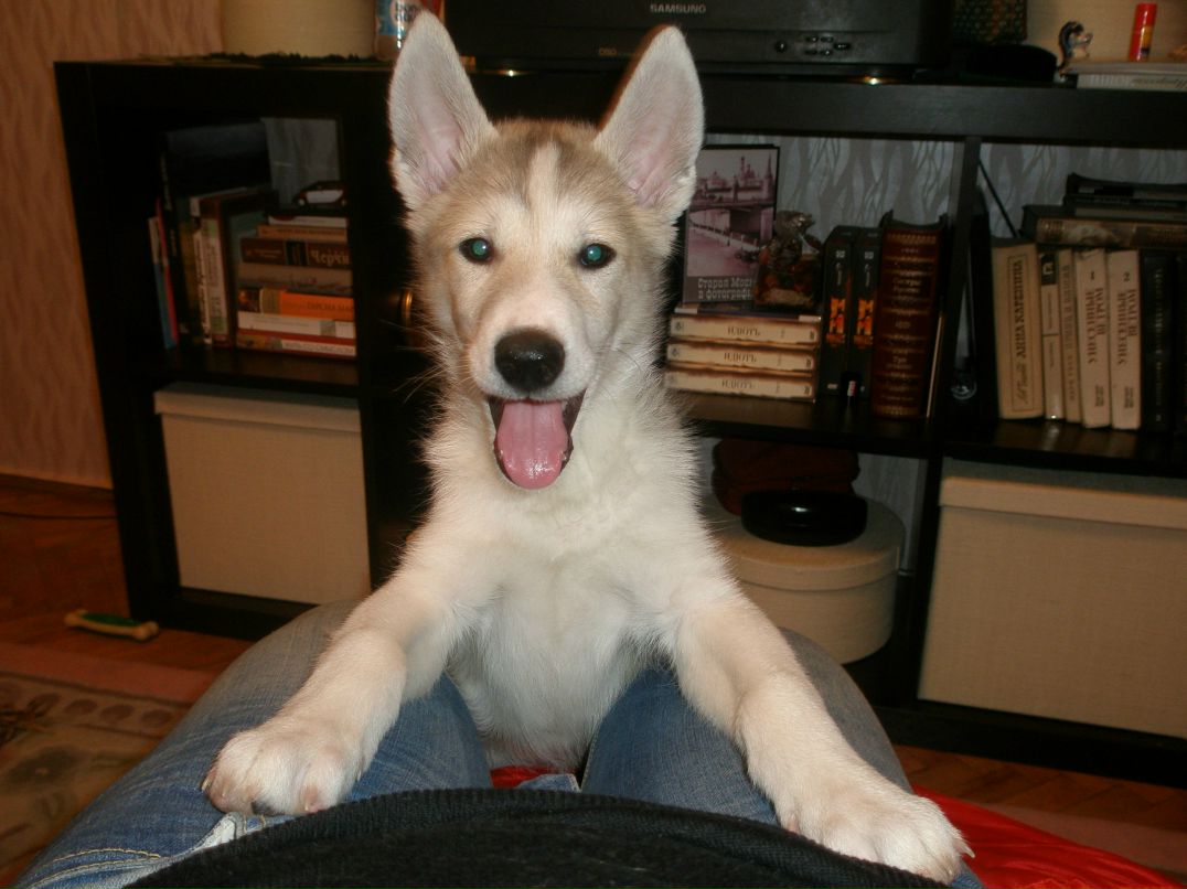 Юльча Маркова | Москва