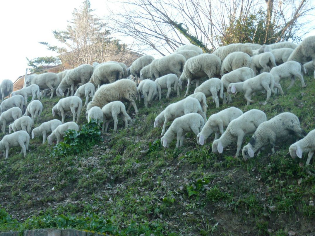 Стива Ивонинский | Санкт-Петербург