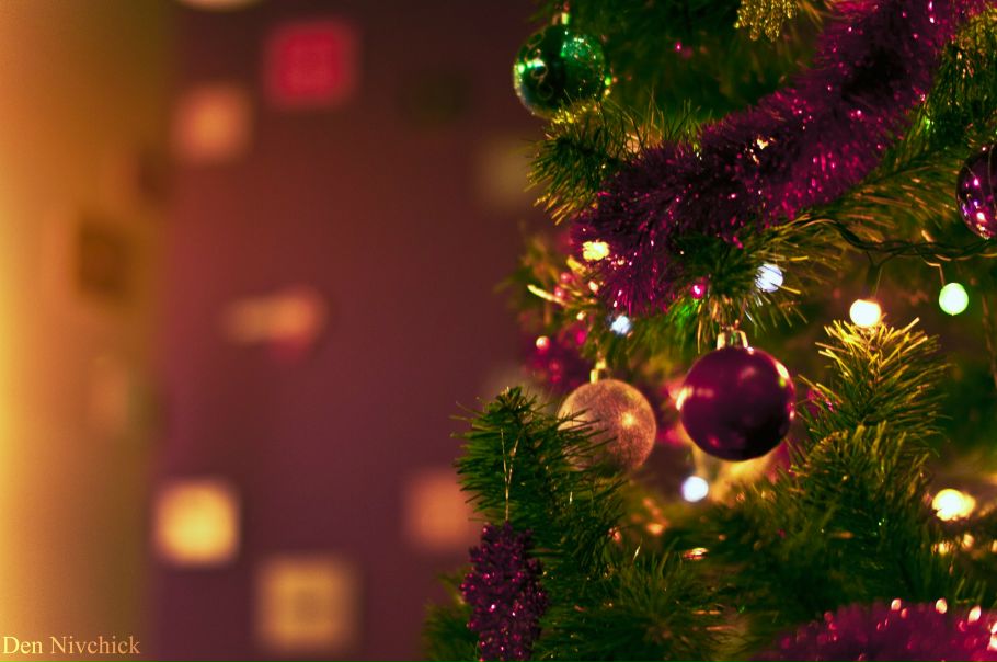 №13, Денис Нивчик, Мукачево №13, Денис Нивчик, Мукачево