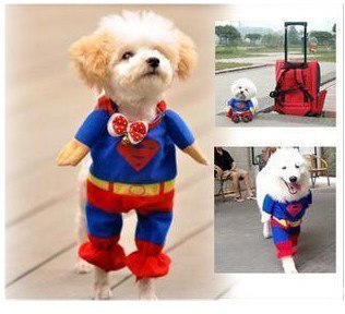 Игорь Сергеевич | Омск