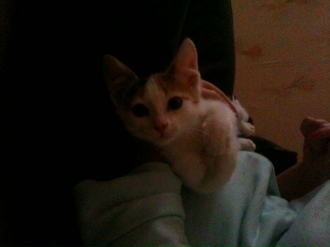 Анна Великогло | Краснодар