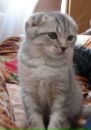 Фотография Екатерина Гуреева
