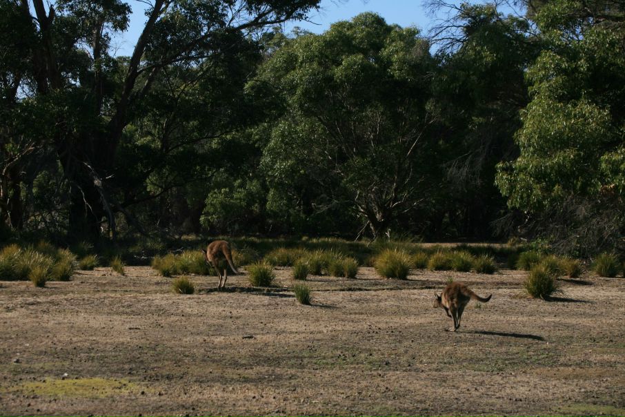 №30, Мария Чувочина-Guyot, 40 лет, Brisbane №30, Мария Чувочина-Guyot, 40 лет, Brisbane