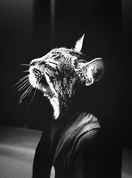 №5, Александр Кожевников №5, Александр Кожевников