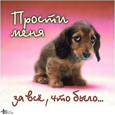 №159, Виктория Русецька, Киев №159, Виктория Русецька, Киев