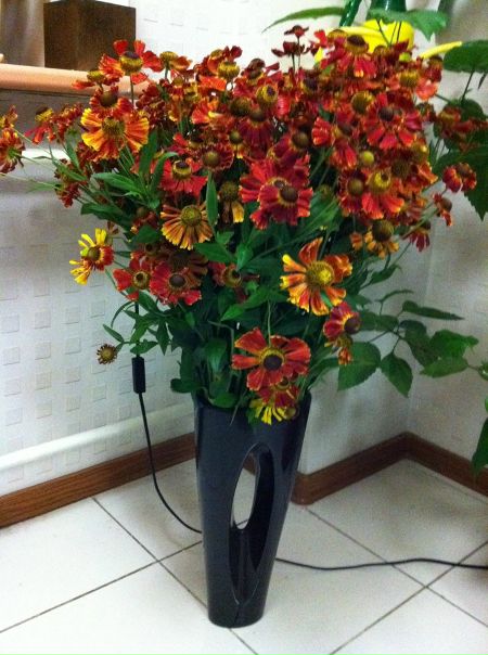 №6, Татьяна Цирульник, Санкт-Петербург №6, Татьяна Цирульник, Санкт-Петербург