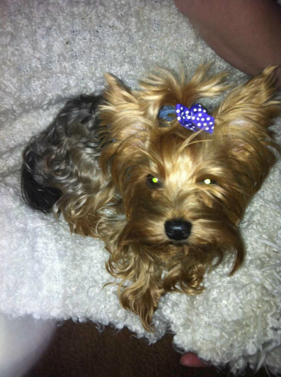 Елена Сидорова | Москва