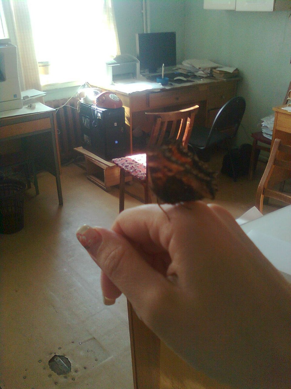 Маша Ромашова | Нижний Новгород