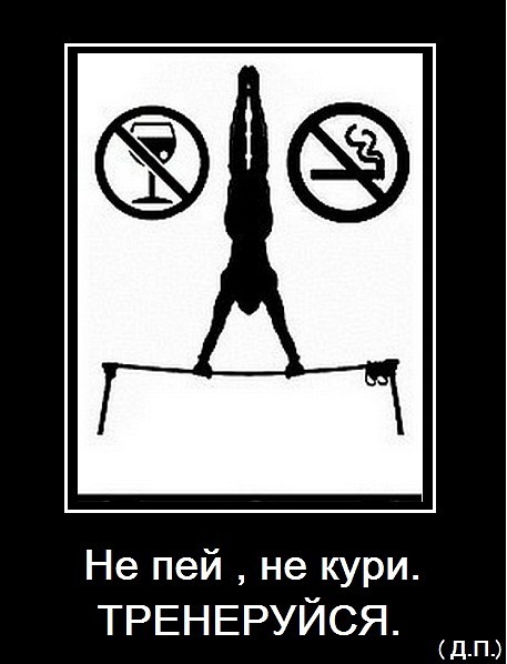 №12, Ярик Вишневский №12, Ярик Вишневский