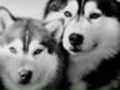 Маша Приходько ǁ  ҉   ᵰәǡɍ   ҉  ǁ® | Волгодонск