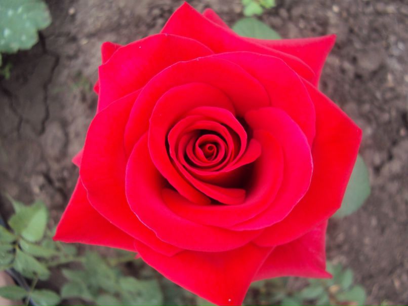 Ляйсан Аминова | Туймазы