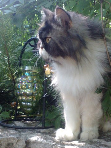 Александра Якушева | Тольятти