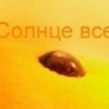 №2 Ирина Макарова 18.10: профиль, фото, статус - ВКонтакте