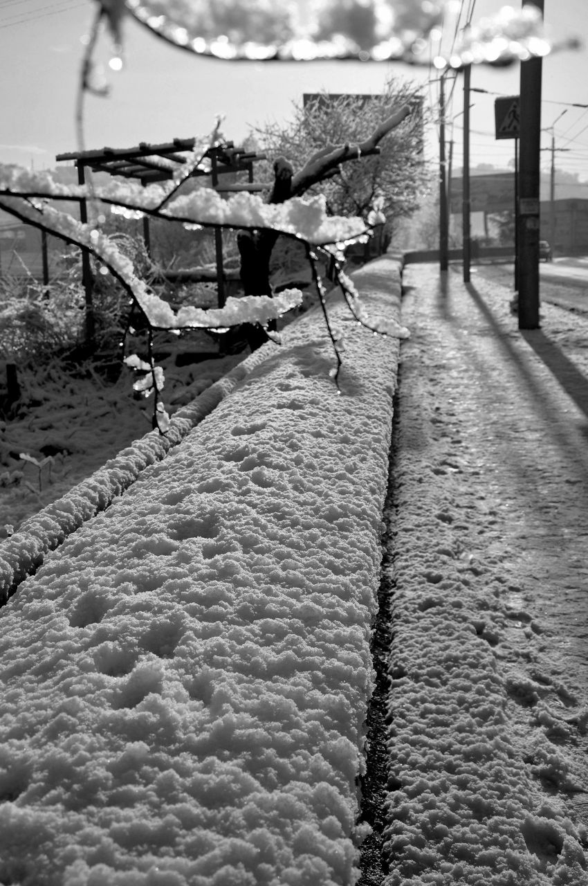 Лилия Кондрацкая | Севастополь