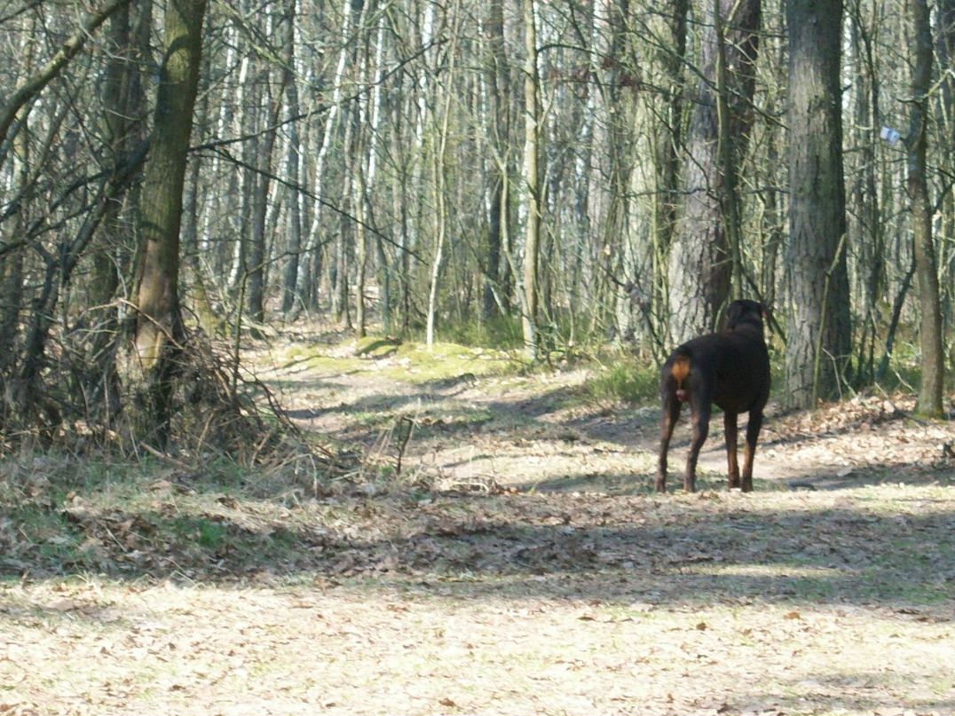 Сан Саныч | Пинск
