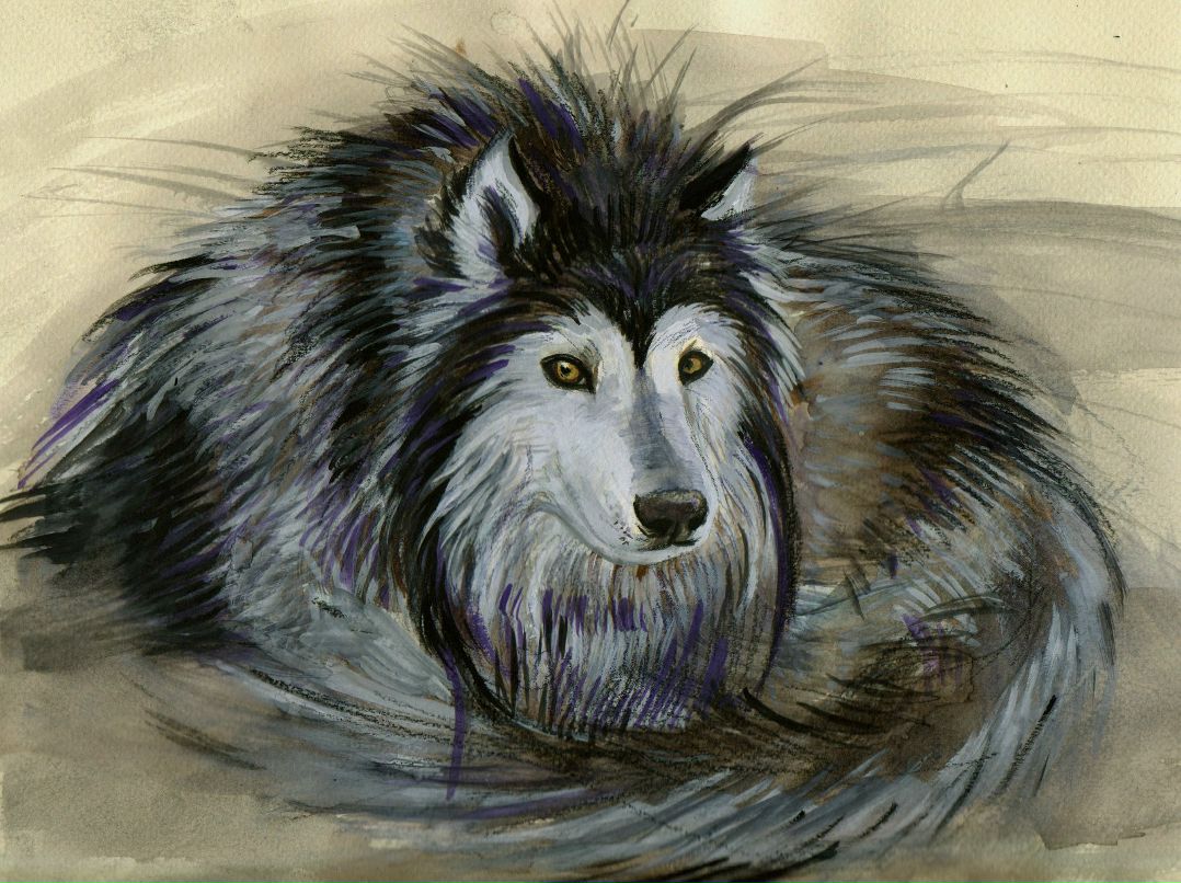 Василиса Наляйкина | Новосибирск