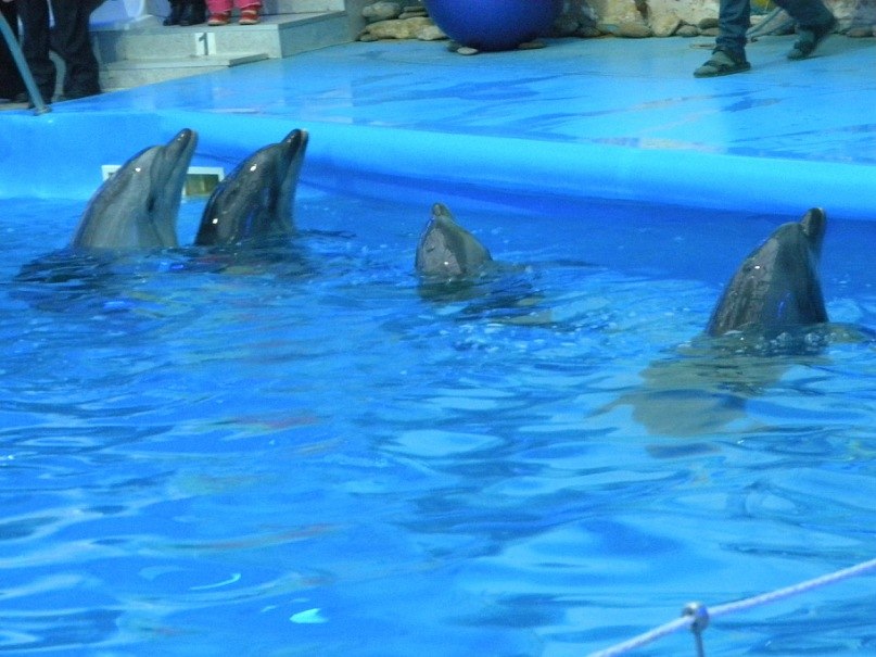 Наталья Коваленко | Kraków