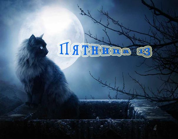 №178, Андрей Ляпчев, 37 лет №178, Андрей Ляпчев, 37 лет