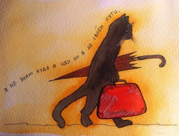 Наталья Ильина | Пермь