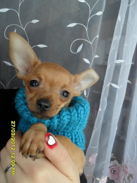 №118, Олеся Семакова, Северодвинск №118, Олеся Семакова, Северодвинск