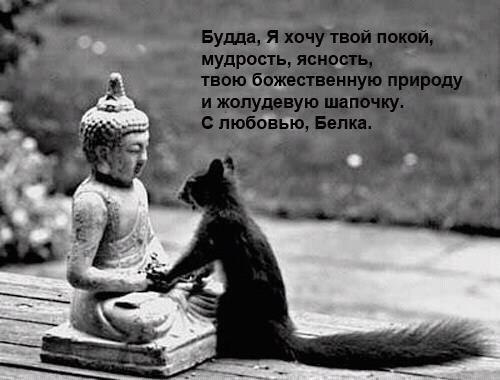 Дарима Митапова | Москва