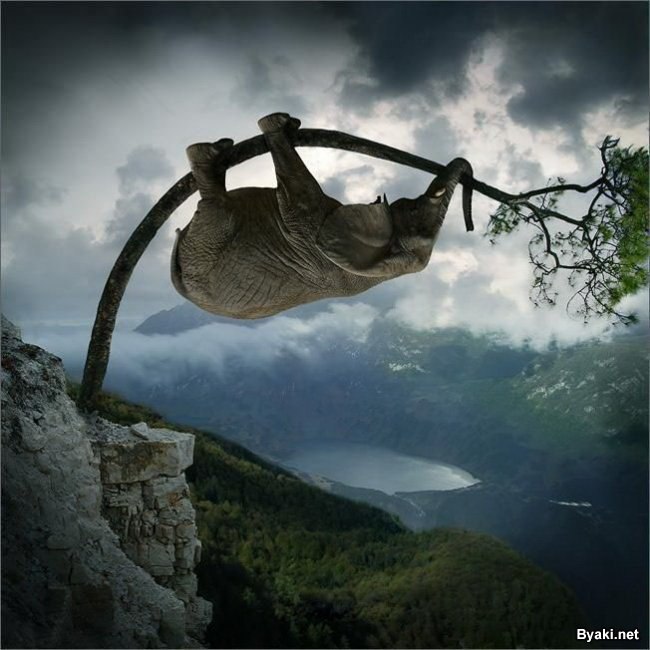 Владимир Шматько | London