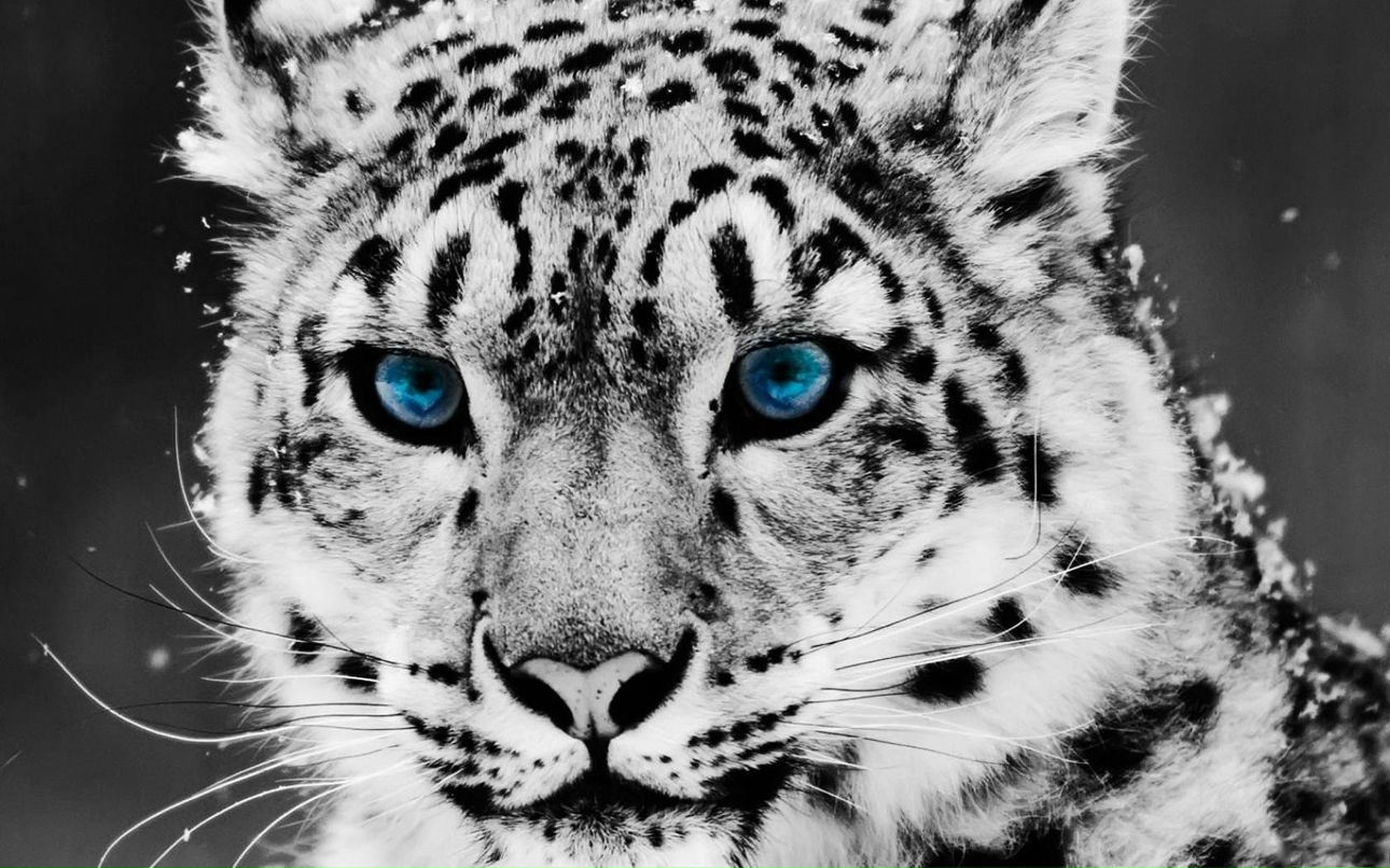 Илья Сергеевич | Запорожье