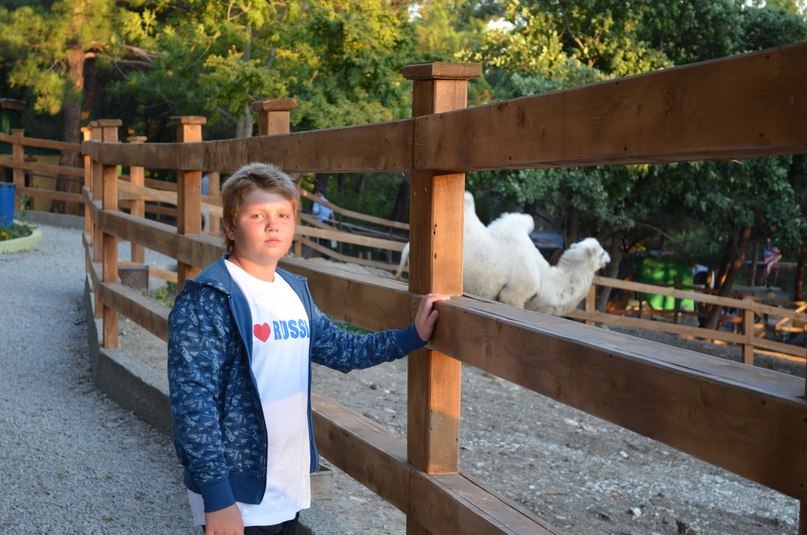 Илья Тарасов | Волгоград