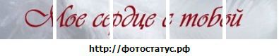 Фотография Оксана Лукьянчикова
