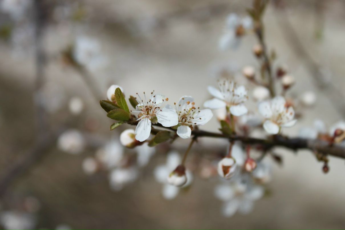 Антон Дерига Antoxxa | Новосибирск