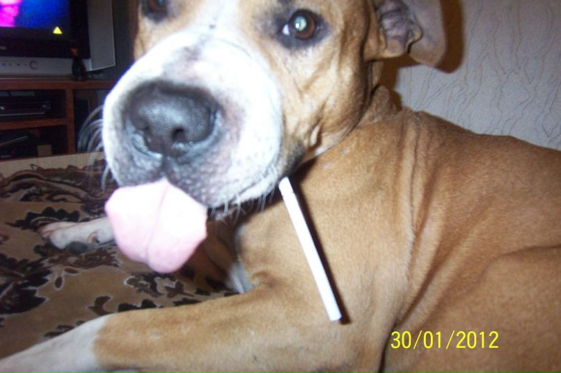 Геннадий Бормотов | Одесса