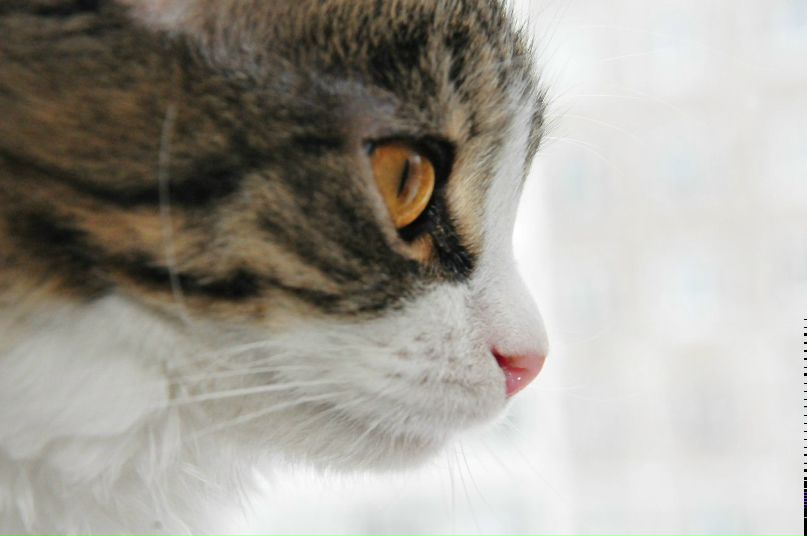 Антон Салянский | Мурманск