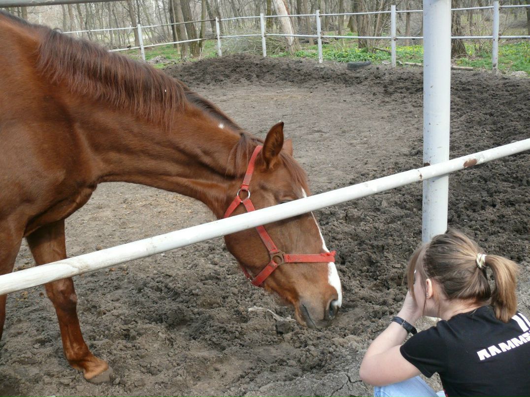 Елизавета Пасичник | Киев