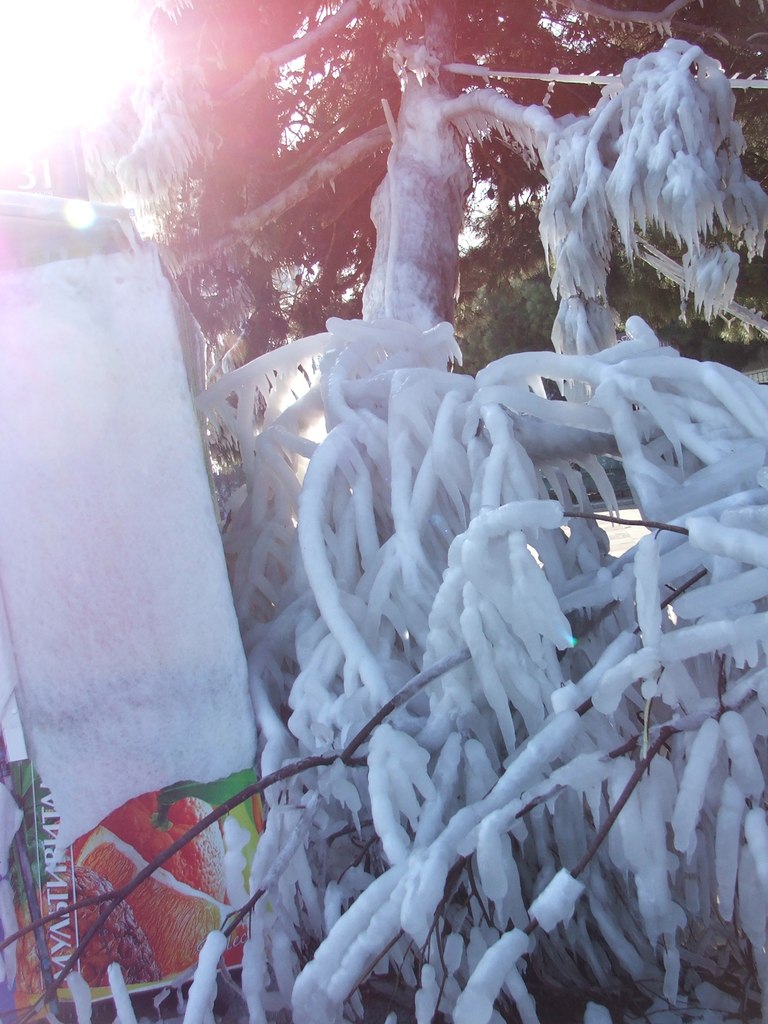 Valentina Tarasevich | Ялта