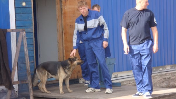 Алексей Сургин | Дивногорск