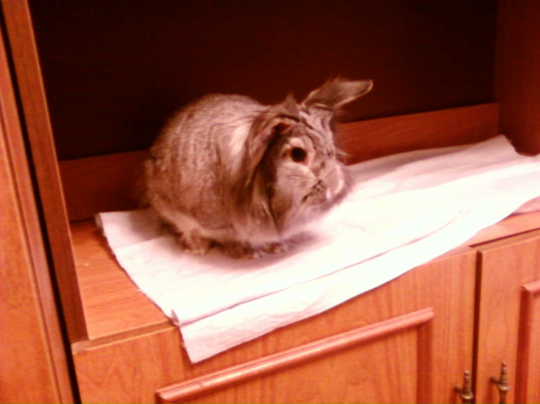 Наталия Титова | Санкт-Петербург