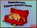 Фотография Логвиновой-Жуковой Светланы