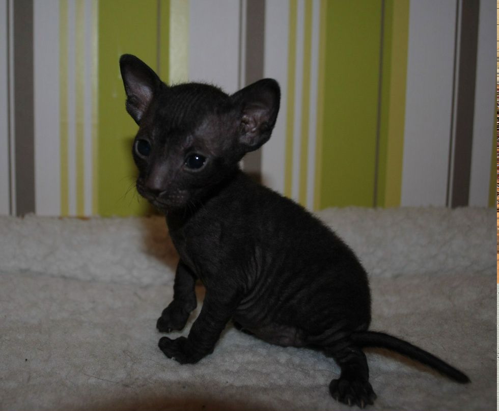 Лена Маслякова | Петрозаводск