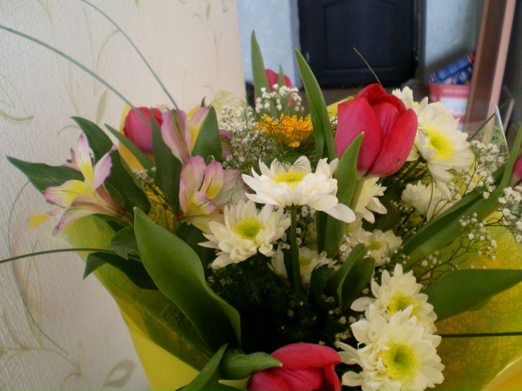 Анастасия Ионина | Тюмень