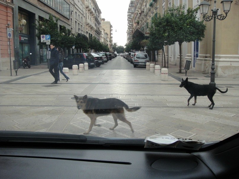 Эдуард Κрюков | Санкт-Петербург