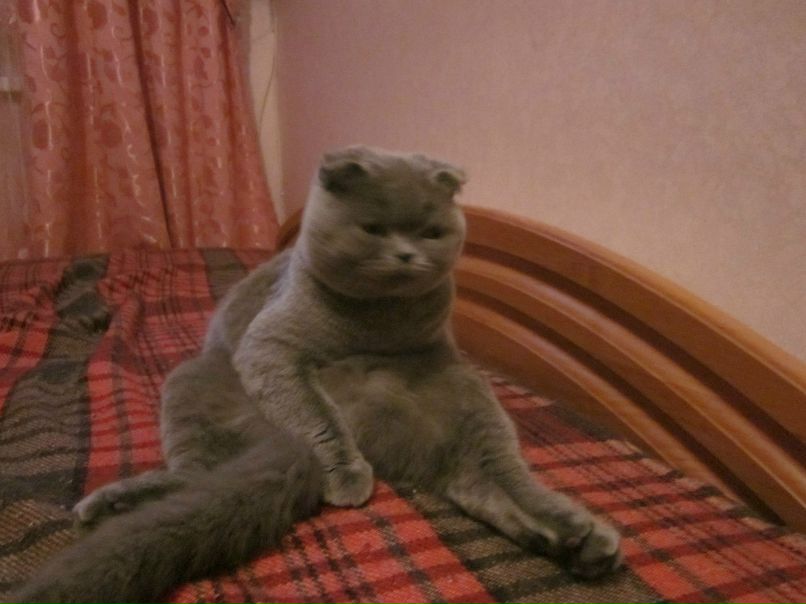 Анна Горденко (Данилова) | Орелька