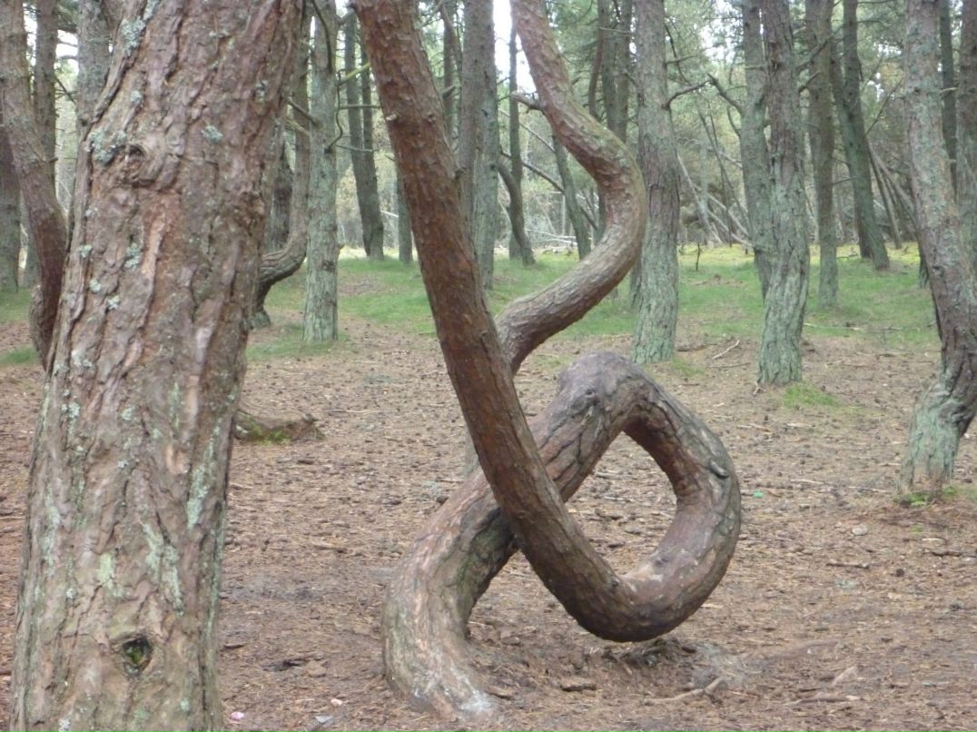 Владислав Жукович | Санкт-Петербург